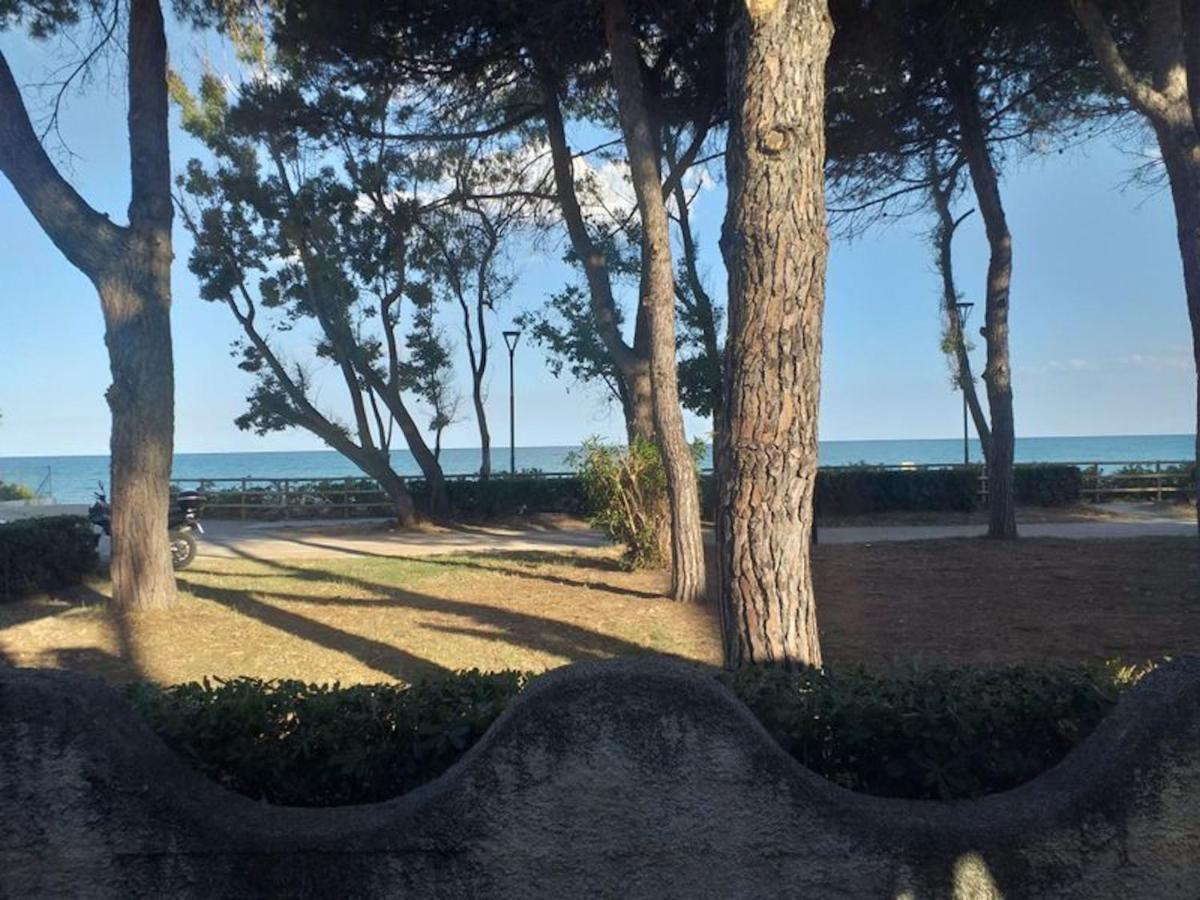 Room In Bb - Spacious Double Room Beside The Sea Pineto Exterior foto
